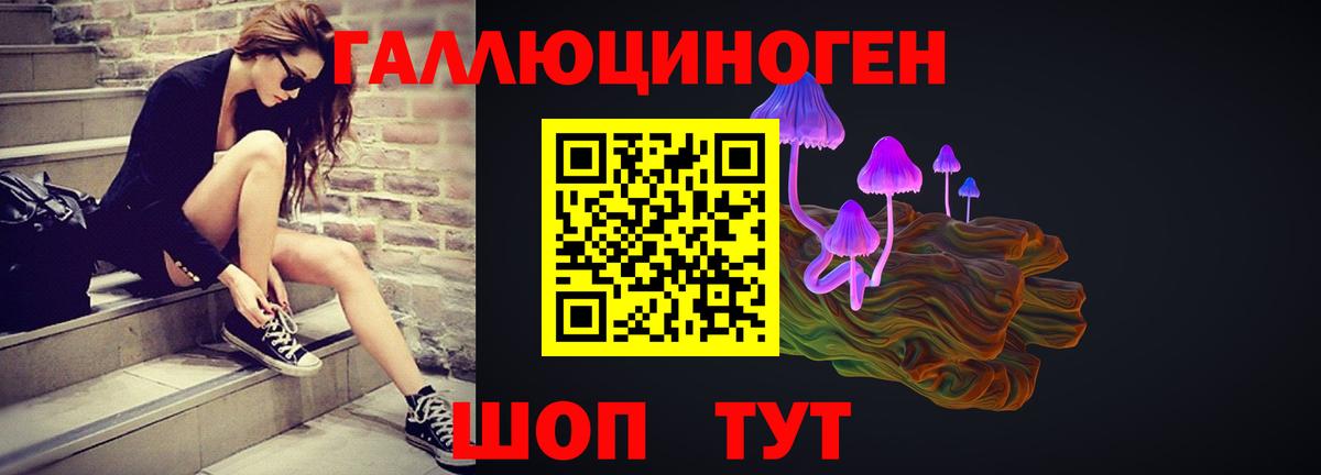 Владикавказ  Галлюциногенные грибы Cubensis  Вход с VPN 
